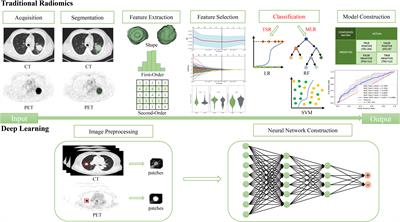 New research progress on 18F-FDG PET/CT radiomics for EGFR mutation prediction in lung adenocarcinoma: a review